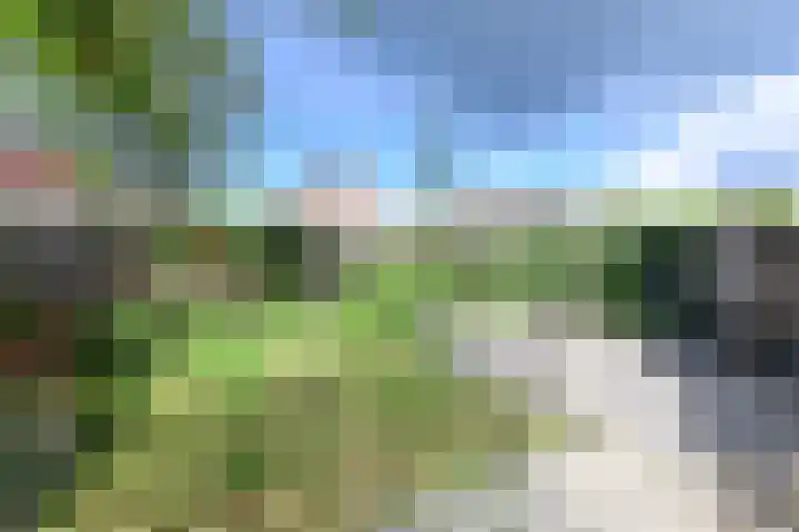 Dr. Engelhardlaan 2 Den Dolder thumbnail 14