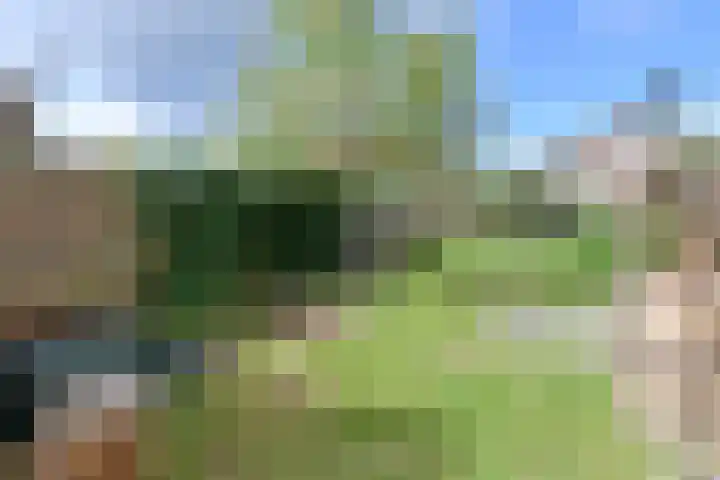 Dr. Engelhardlaan 2 Den Dolder thumbnail 15