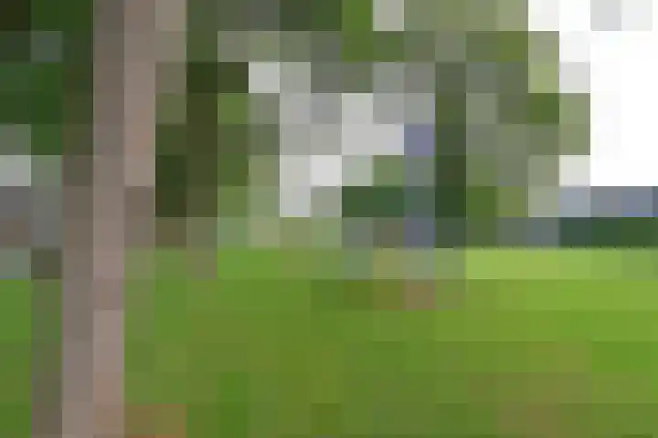 Dr. Engelhardlaan 2 Den Dolder thumbnail 16