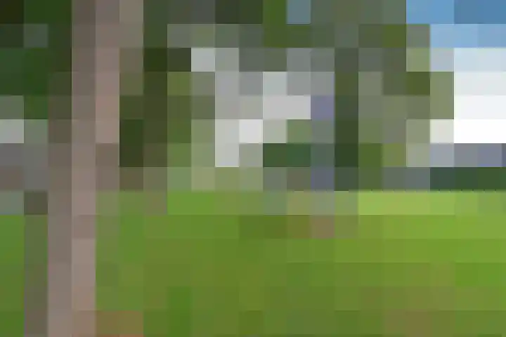 Dr. Engelhardlaan 2 Den Dolder thumbnail 17