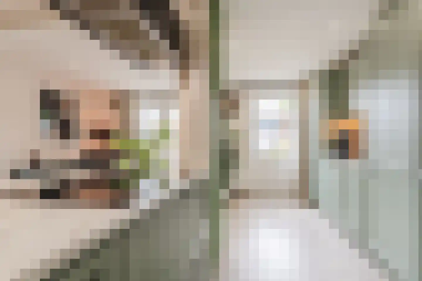 Dr Ensinkstraat 16 Halsteren thumbnail 10
