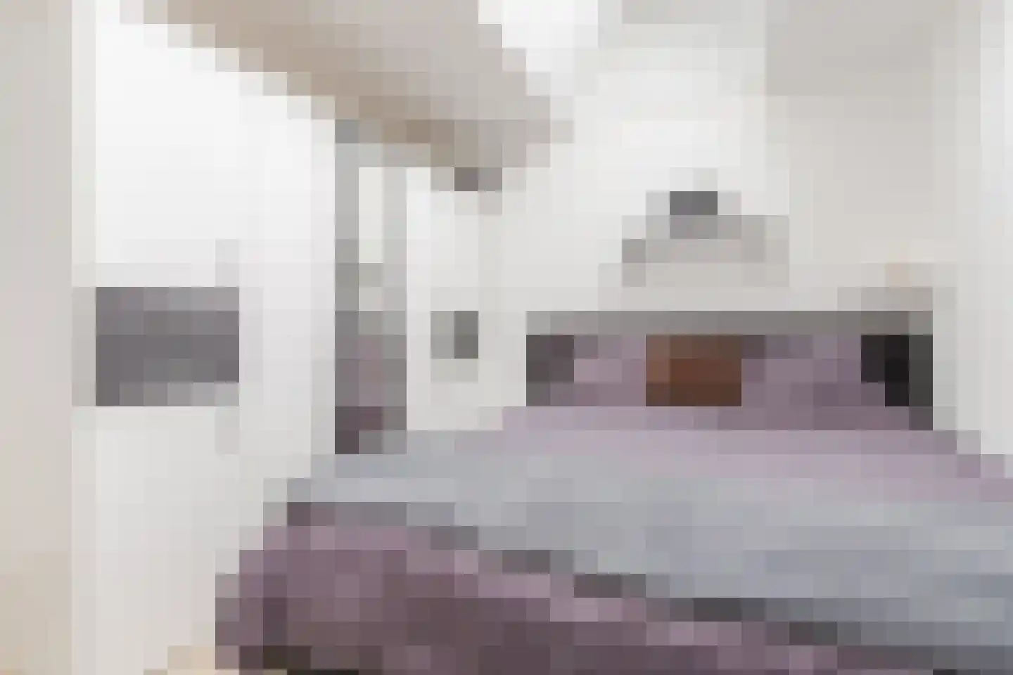 Dr Ensinkstraat 16 Halsteren thumbnail 15