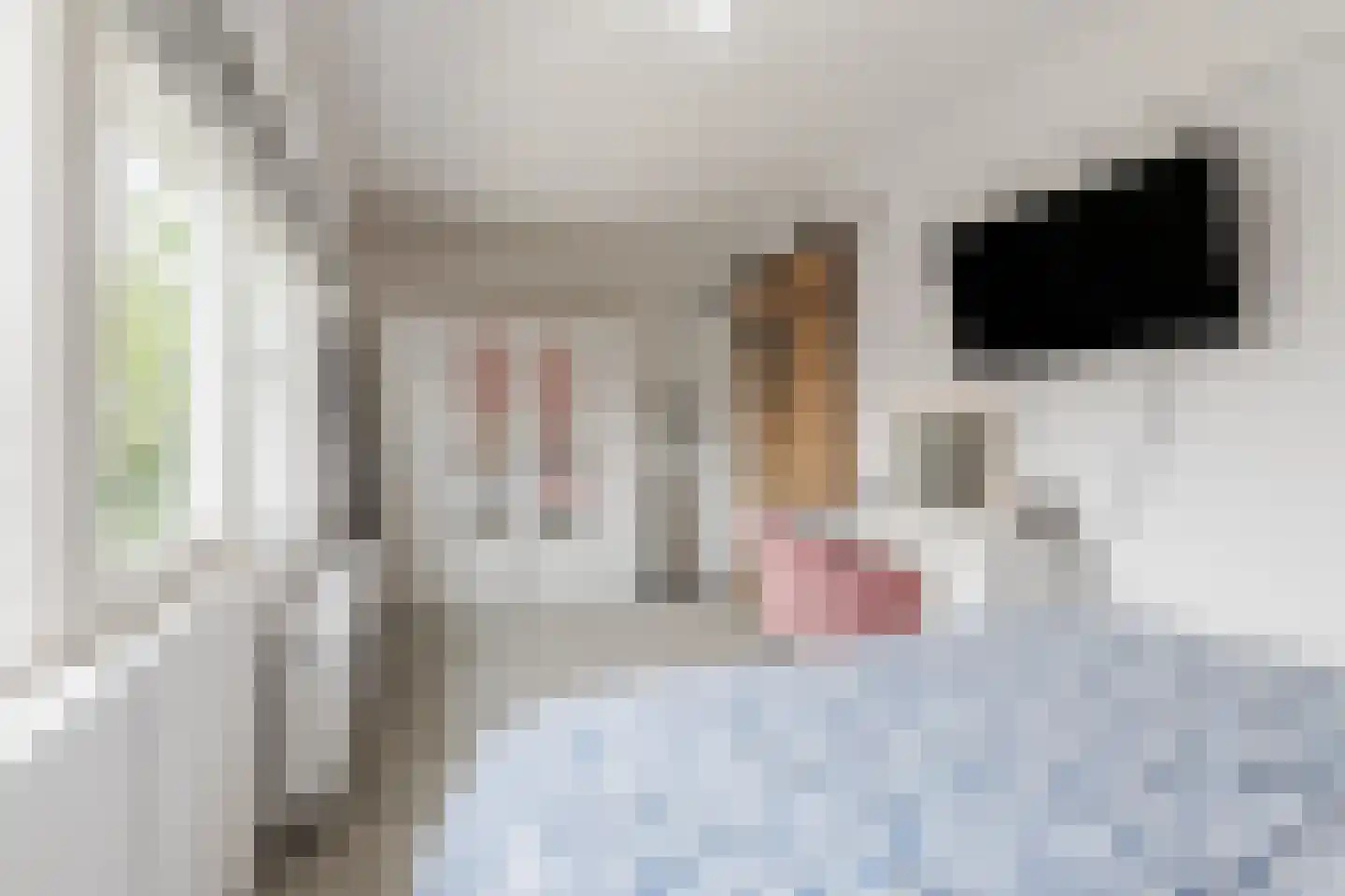 Dr Ensinkstraat 16 Halsteren thumbnail 19