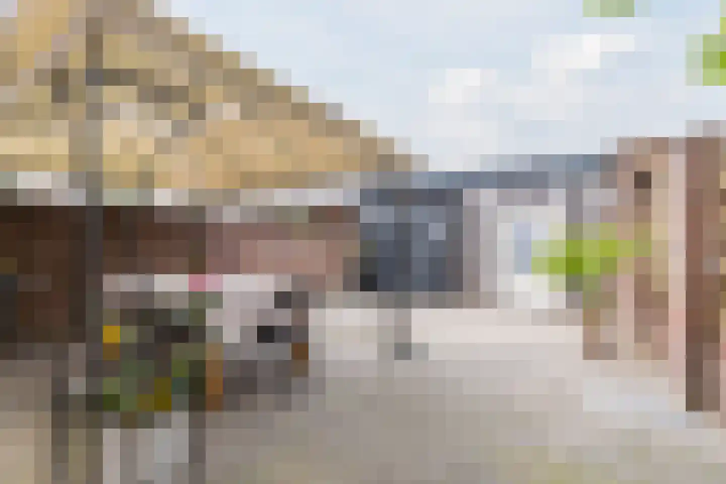Dr Ensinkstraat 16 Halsteren thumbnail 23