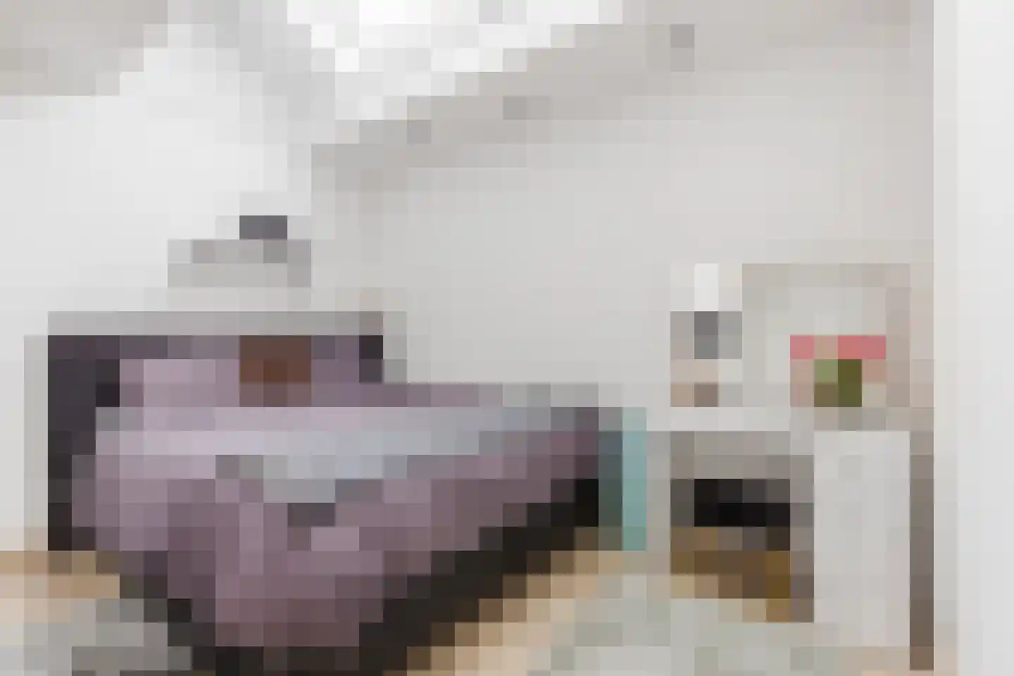 Dr Ensinkstraat 16 Halsteren thumbnail 4