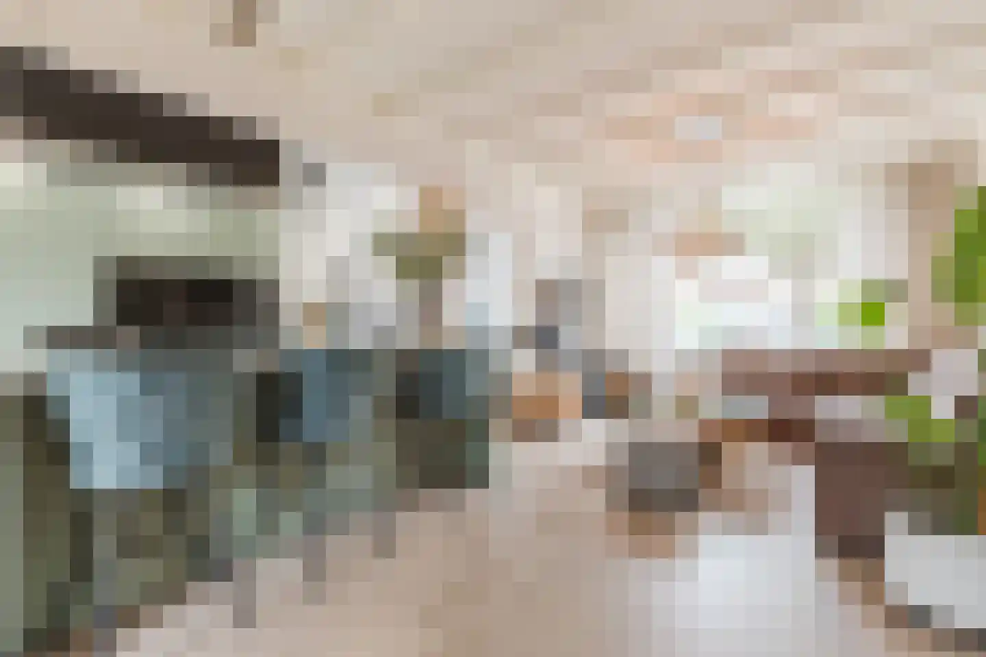 Dr Ensinkstraat 16 Halsteren thumbnail 8
