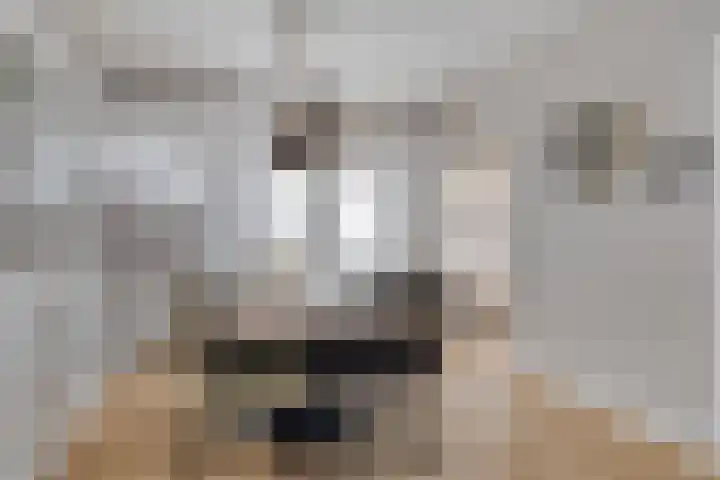 Dr Ensinkstraat 17 Halsteren thumbnail 11
