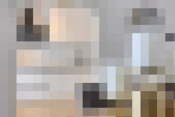 Dr Ensinkstraat 17 Halsteren thumbnail 12