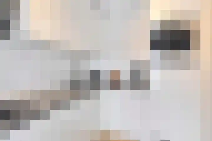 Dr Ensinkstraat 17 Halsteren thumbnail 13