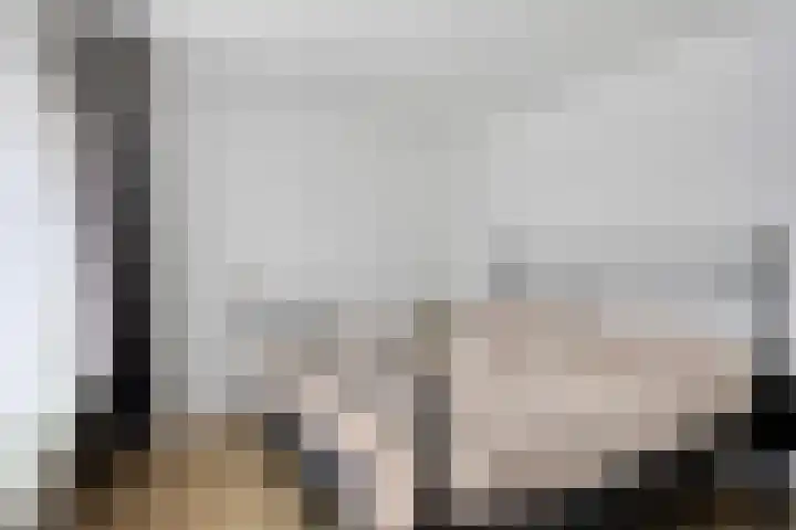 Dr Ensinkstraat 17 Halsteren thumbnail 16