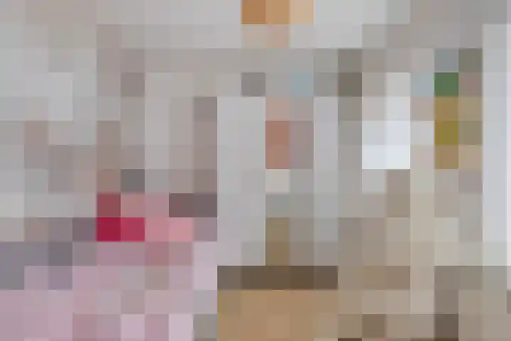 Dr Ensinkstraat 17 Halsteren thumbnail 18