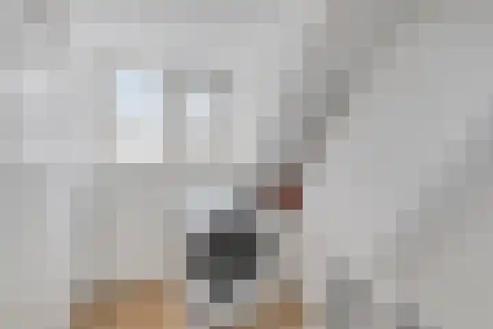 Dr Ensinkstraat 17 Halsteren thumbnail 20