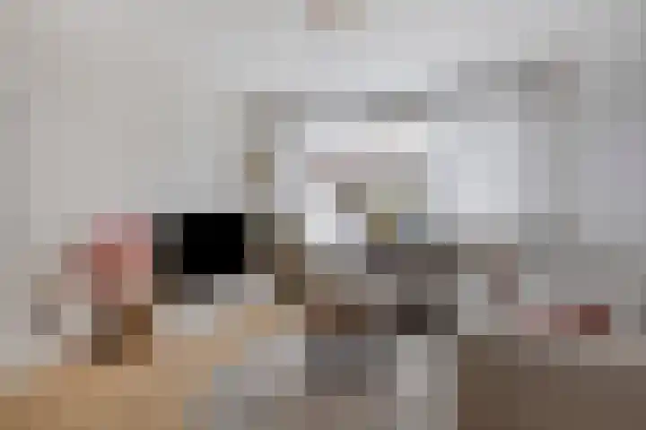 Dr Ensinkstraat 17 Halsteren thumbnail 9