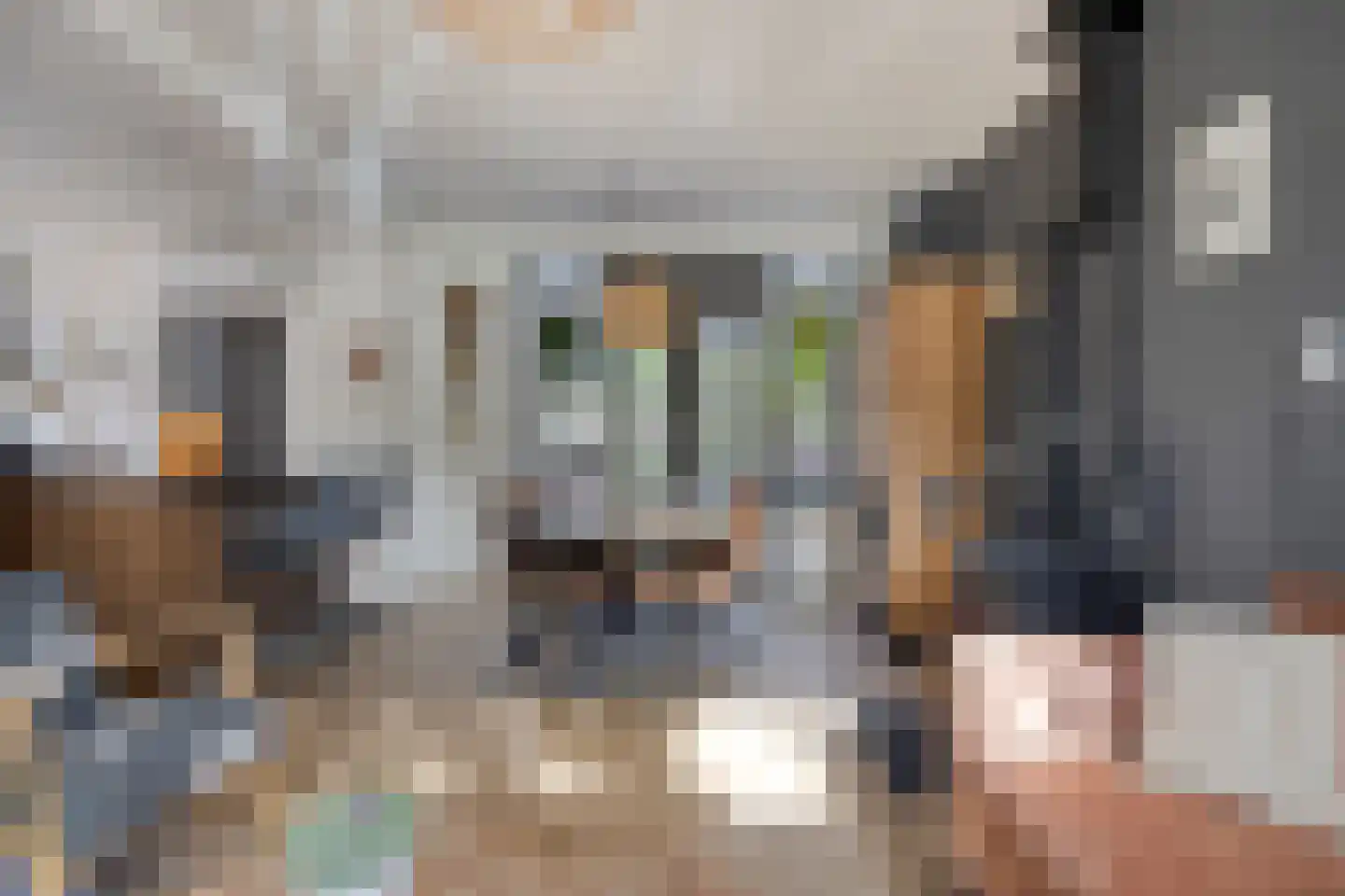 Dr Ensinkstraat 32 Halsteren thumbnail 10