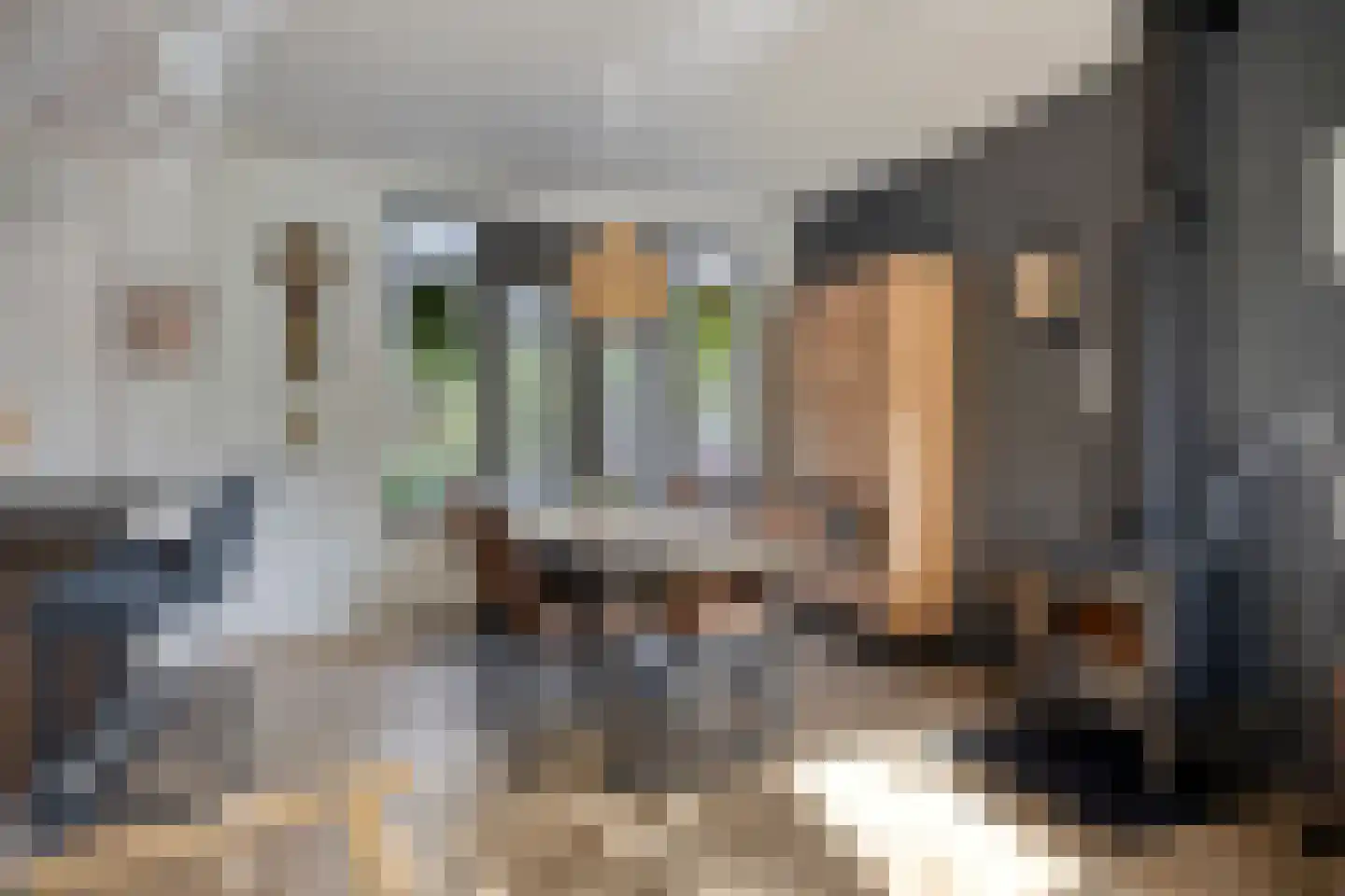Dr Ensinkstraat 32 Halsteren thumbnail 11
