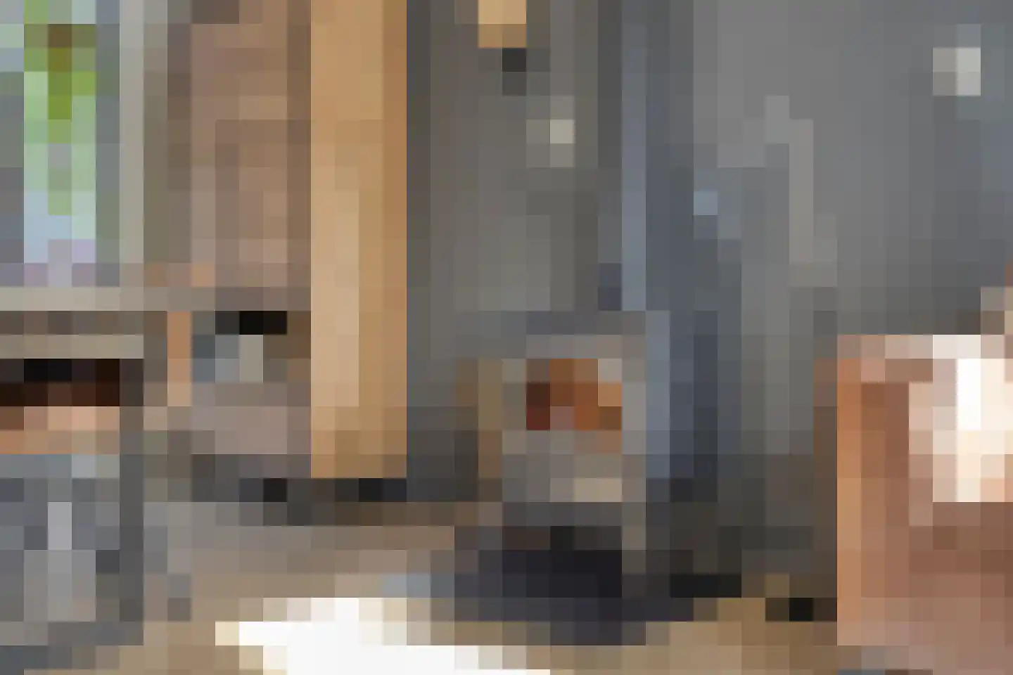 Dr Ensinkstraat 32 Halsteren thumbnail 12