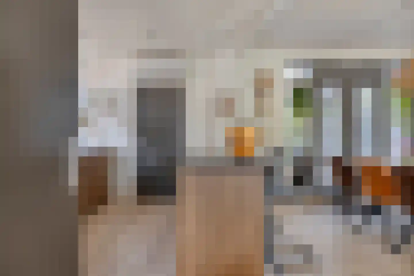 Dr Ensinkstraat 32 Halsteren thumbnail 14