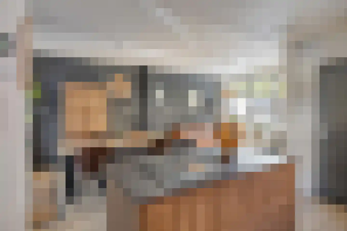 Dr Ensinkstraat 32 Halsteren thumbnail 15
