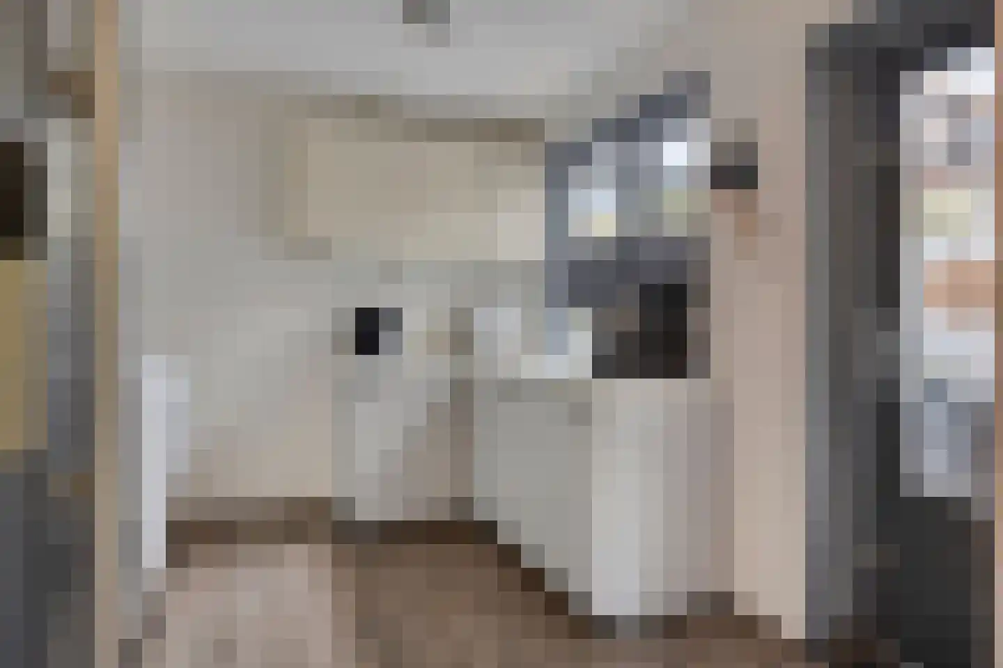Dr Ensinkstraat 32 Halsteren thumbnail 19