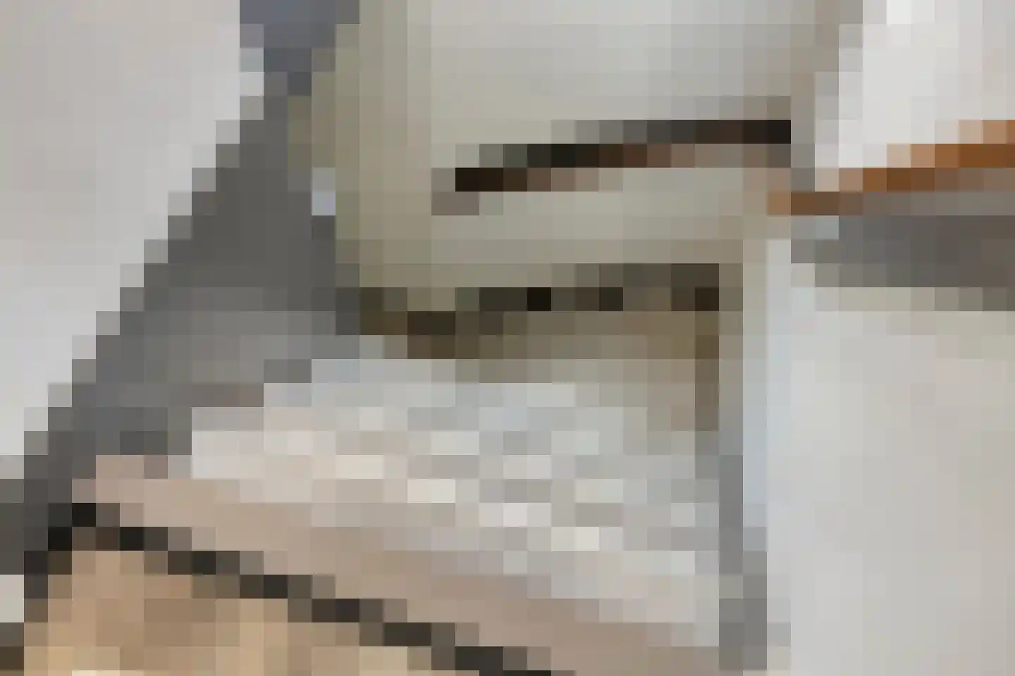 Dr Ensinkstraat 32 Halsteren thumbnail 22