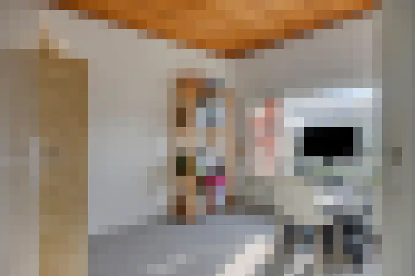 Dr Ensinkstraat 32 Halsteren thumbnail 25