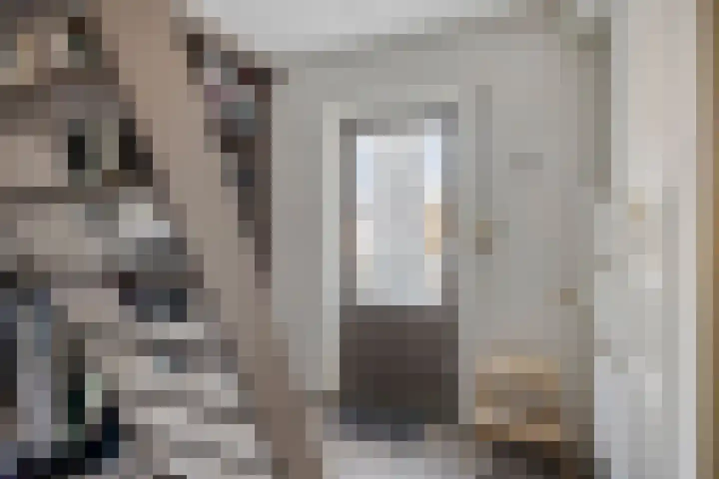 Dr Ensinkstraat 32 Halsteren thumbnail 27