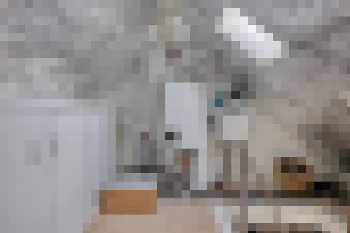 Dr Ensinkstraat 32 Halsteren thumbnail 32