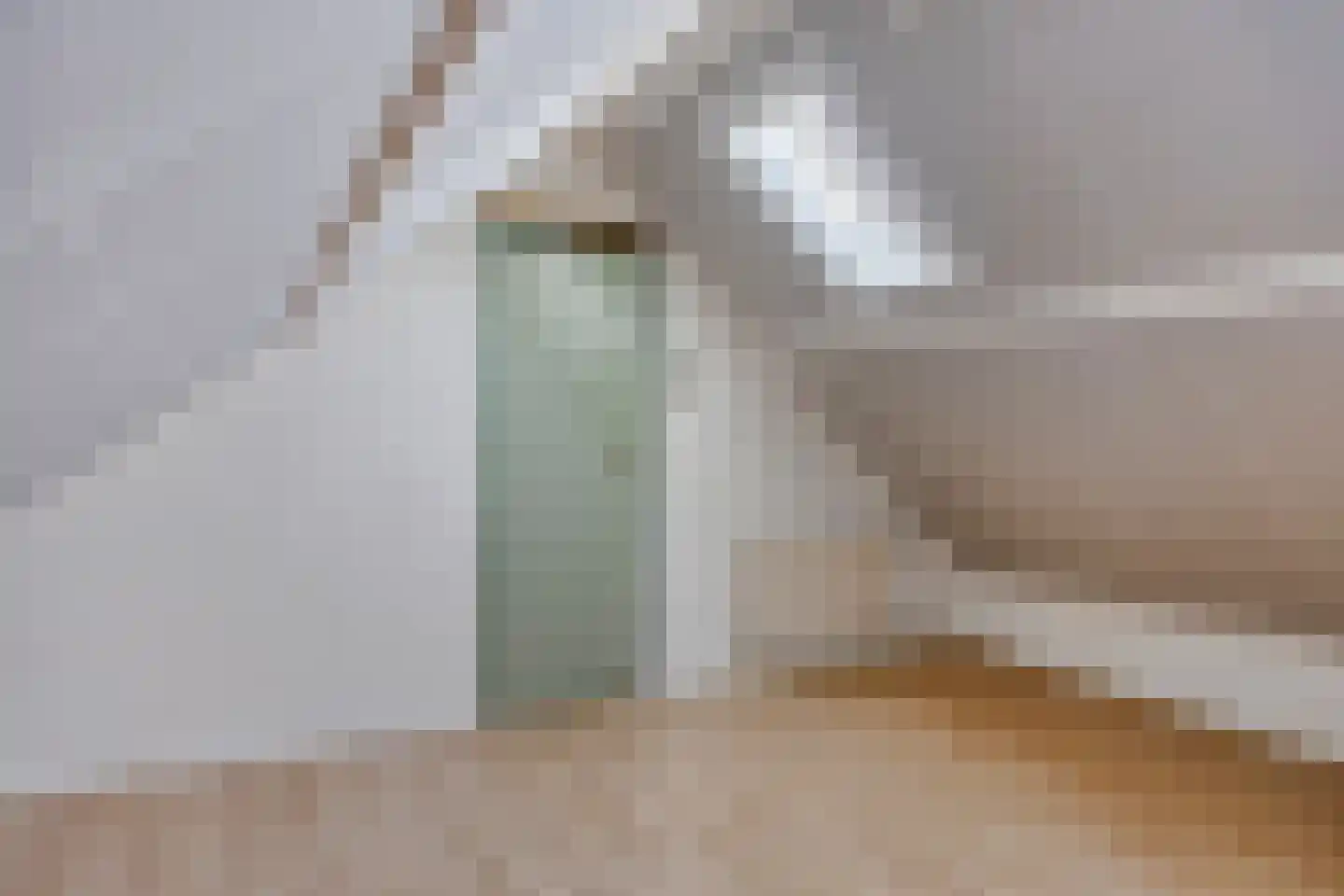 Dr Ensinkstraat 32 Halsteren thumbnail 34