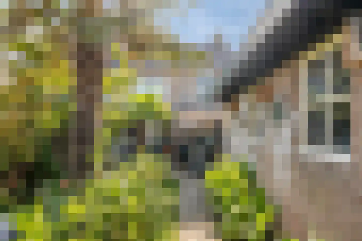Dr Ensinkstraat 32 Halsteren thumbnail 35