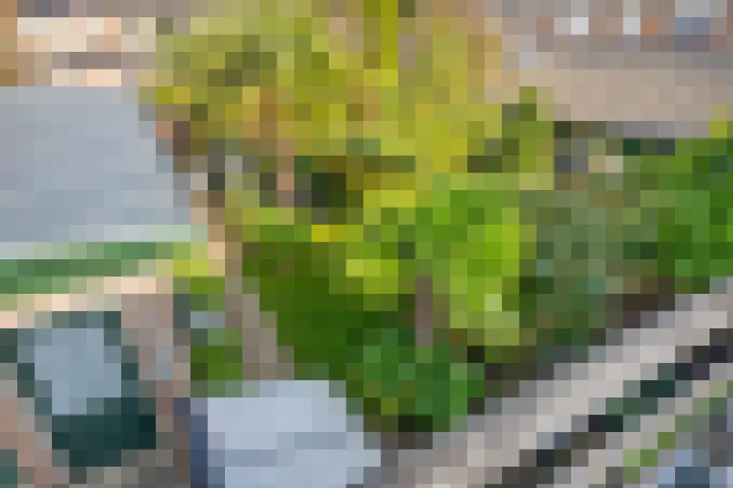 Dr Ensinkstraat 32 Halsteren thumbnail 36