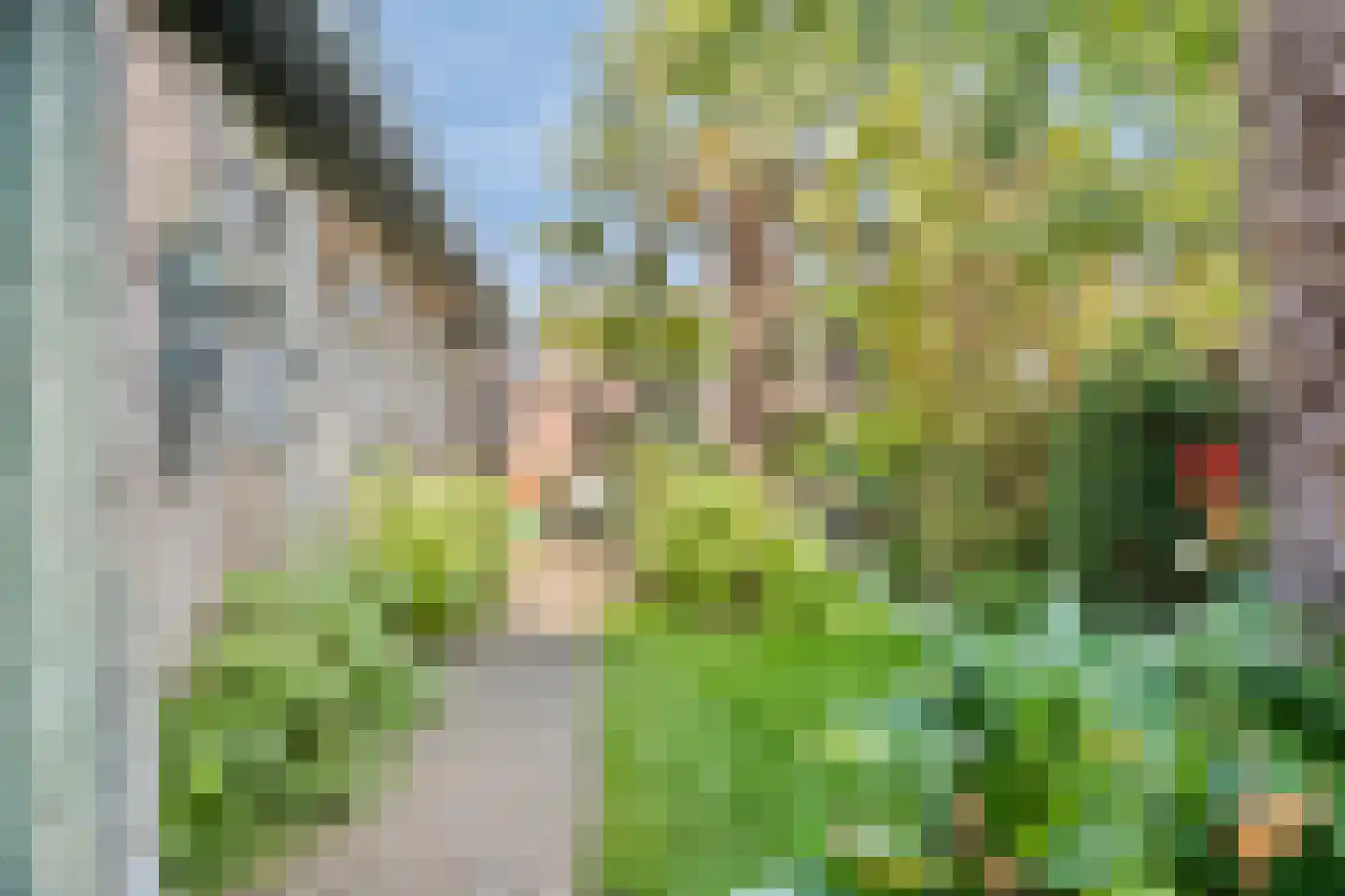 Dr Ensinkstraat 32 Halsteren thumbnail 37