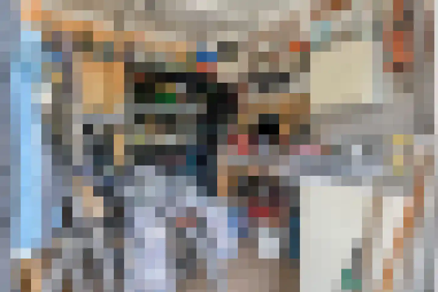 Dr Ensinkstraat 32 Halsteren thumbnail 43