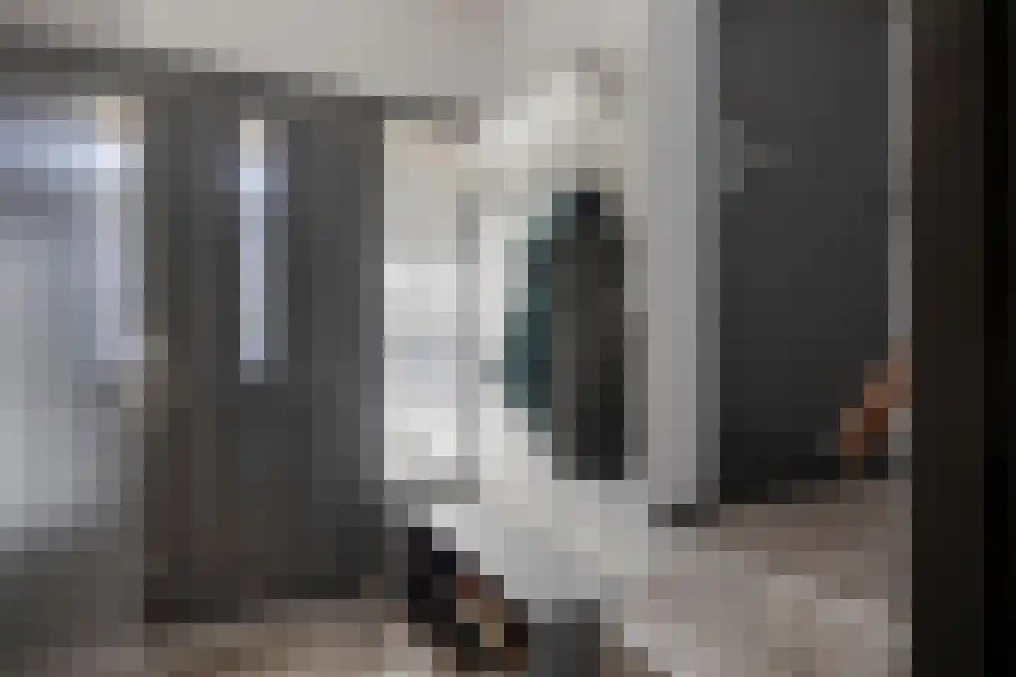 Dr Ensinkstraat 32 Halsteren thumbnail 6