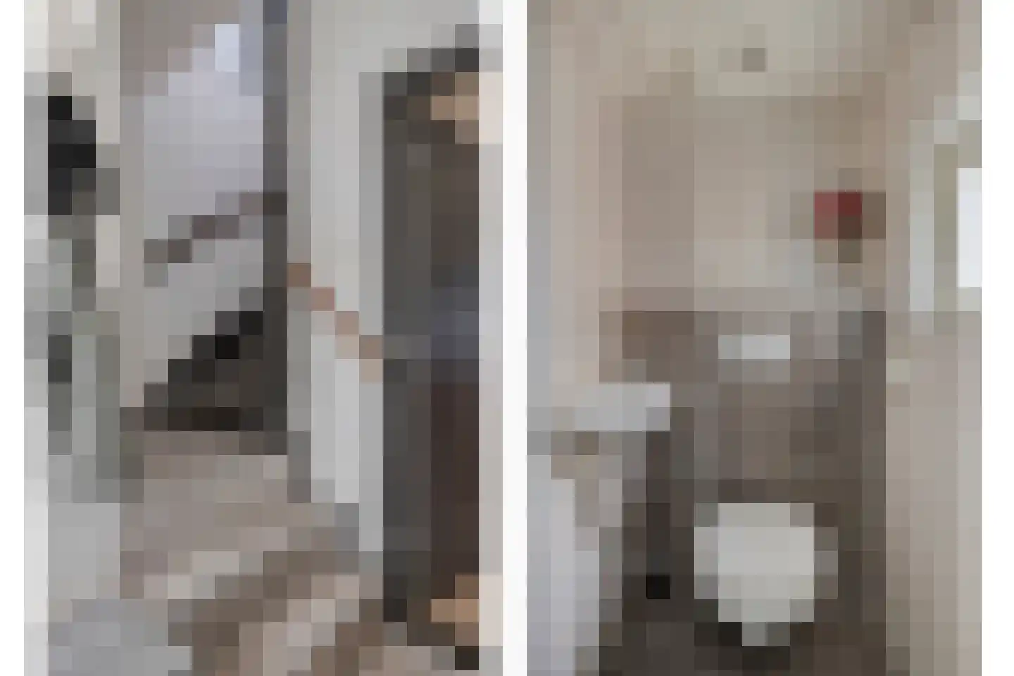 Dr Ensinkstraat 32 Halsteren thumbnail 7