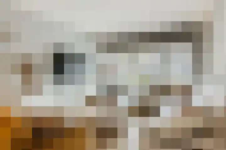 Dr Ensinkstraat 4 Halsteren thumbnail 10