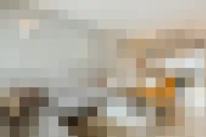 Dr Ensinkstraat 4 Halsteren thumbnail 11