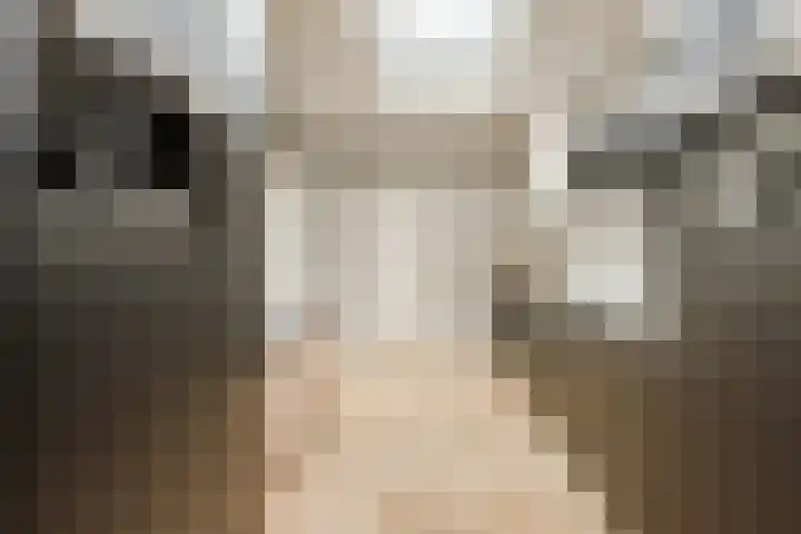 Dr Ensinkstraat 4 Halsteren thumbnail 14