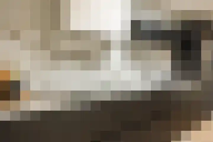 Dr Ensinkstraat 4 Halsteren thumbnail 16