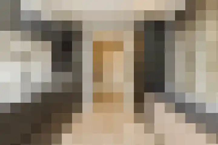 Dr Ensinkstraat 4 Halsteren thumbnail 17