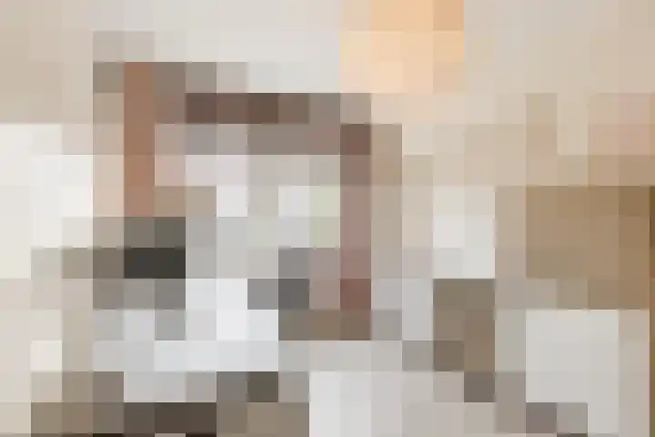 Dr Ensinkstraat 4 Halsteren thumbnail 26