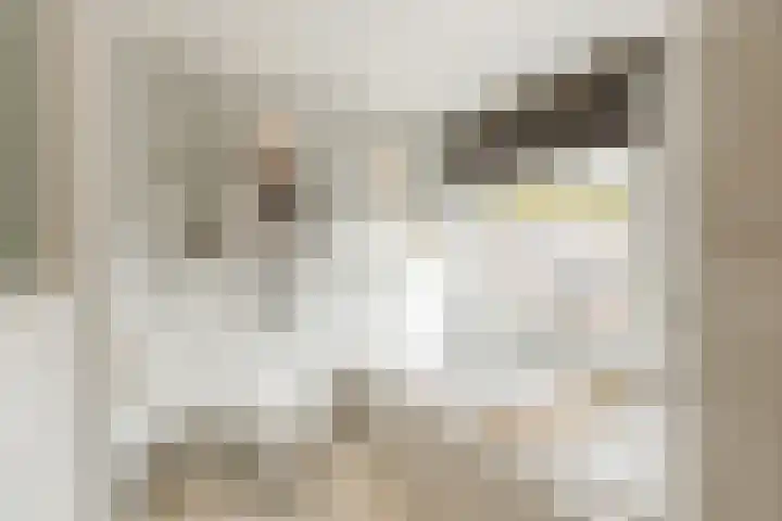 Dr Ensinkstraat 4 Halsteren thumbnail 32