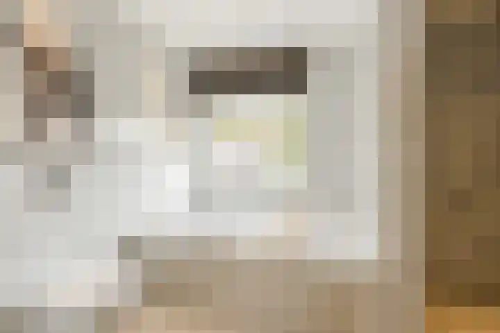 Dr Ensinkstraat 4 Halsteren thumbnail 33