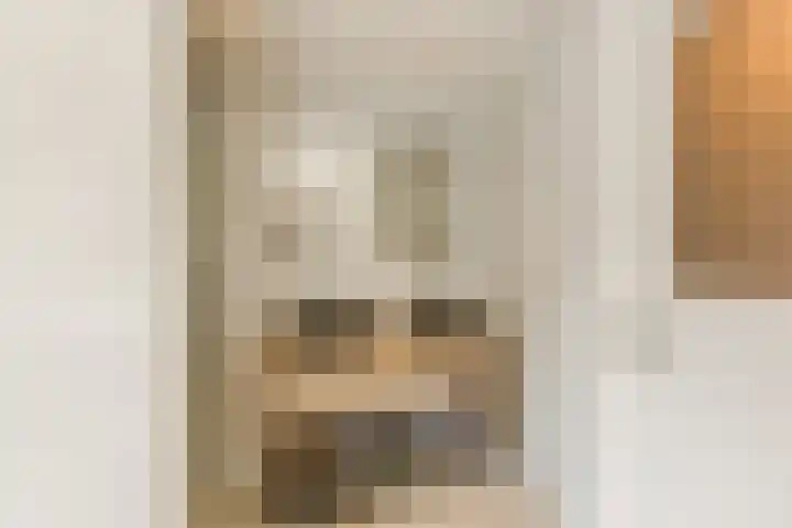 Dr Ensinkstraat 4 Halsteren thumbnail 34