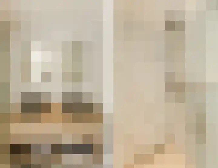 Dr Ensinkstraat 4 Halsteren thumbnail 37