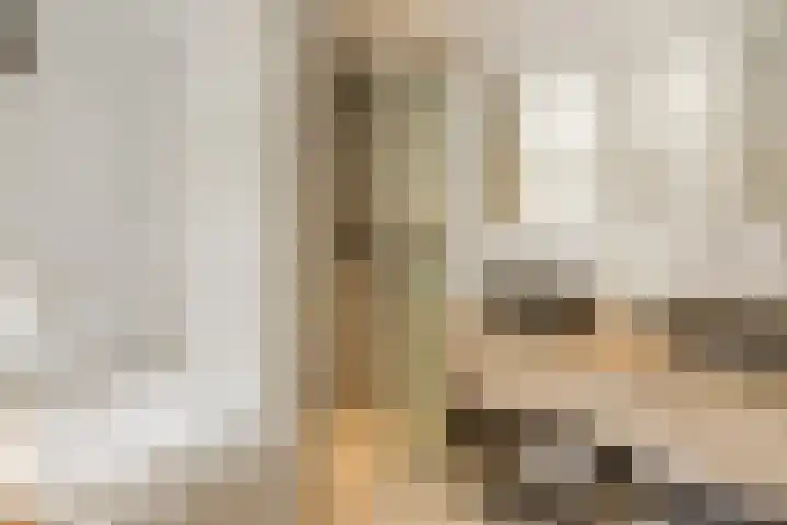 Dr Ensinkstraat 4 Halsteren thumbnail 4