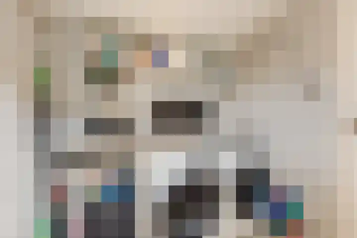 Dr Ensinkstraat 4 Halsteren thumbnail 45