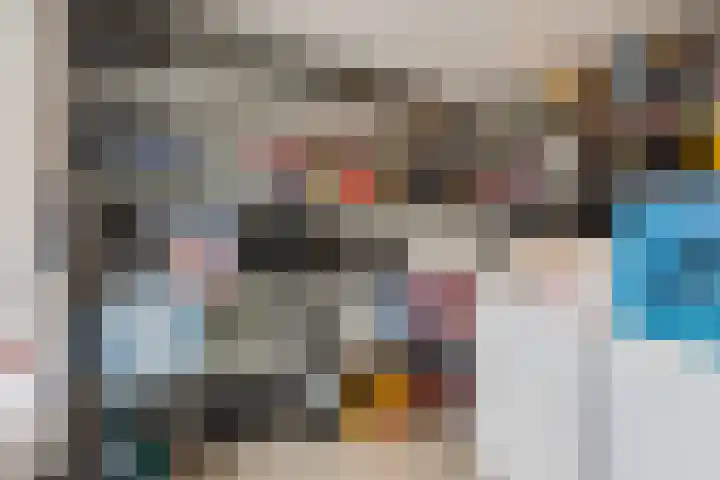 Dr Ensinkstraat 4 Halsteren thumbnail 46