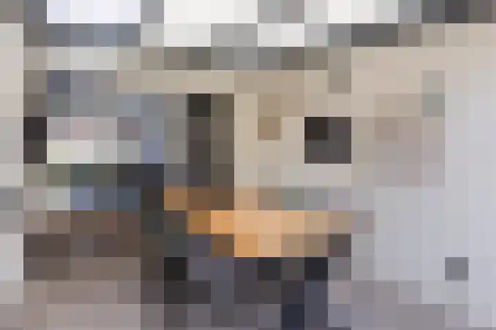 Dr Ensinkstraat 4 Halsteren thumbnail 47