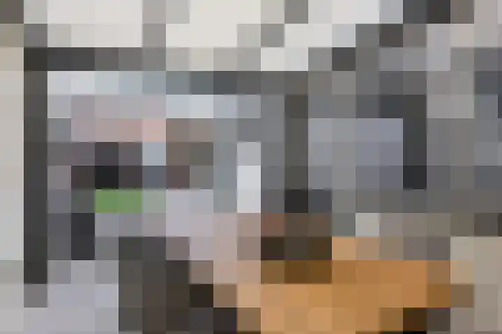 Dr Ensinkstraat 4 Halsteren thumbnail 48