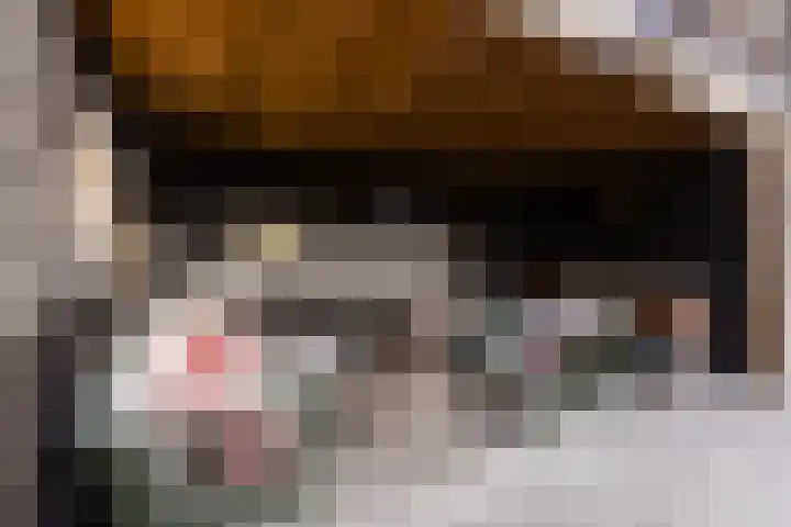 Dr Ensinkstraat 4 Halsteren thumbnail 5